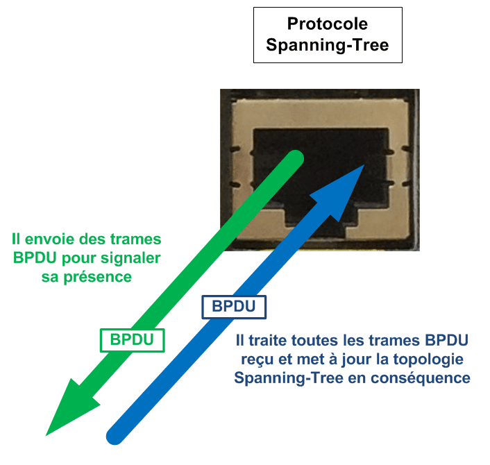 Что такое bpdu в роутере