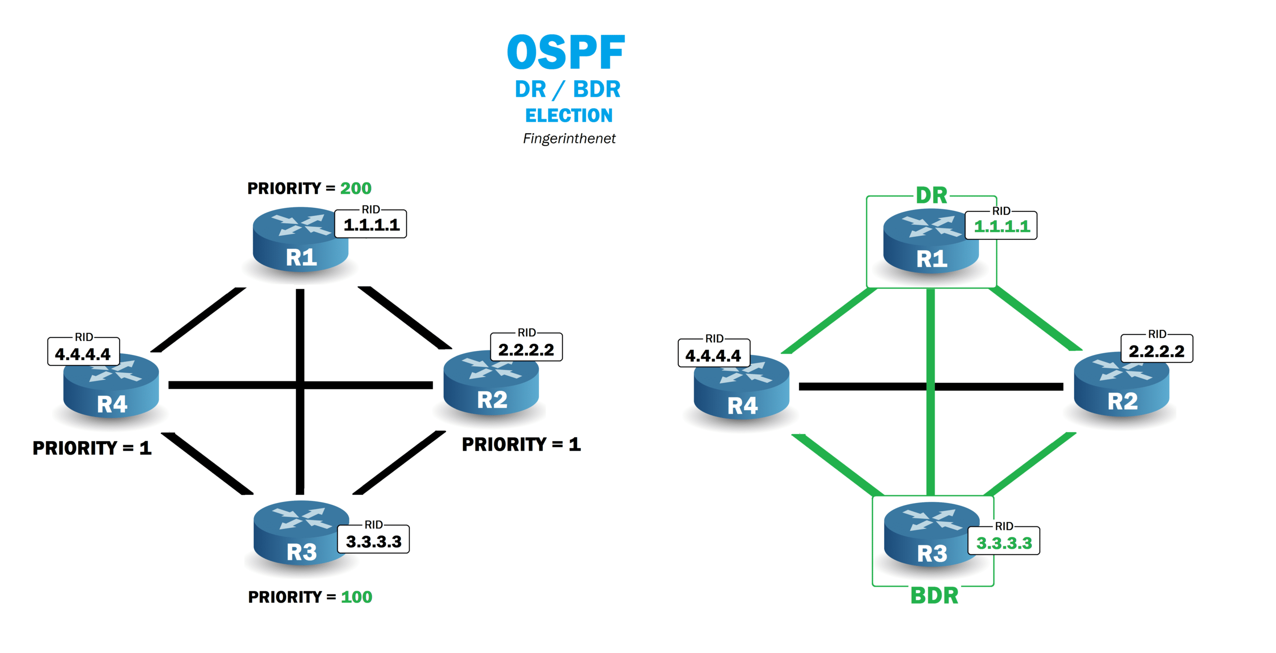 Élection du DR et BDR